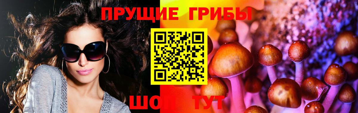 Галлюциногенные грибы Cubensis  Вход с VPN  Прокопьевск 